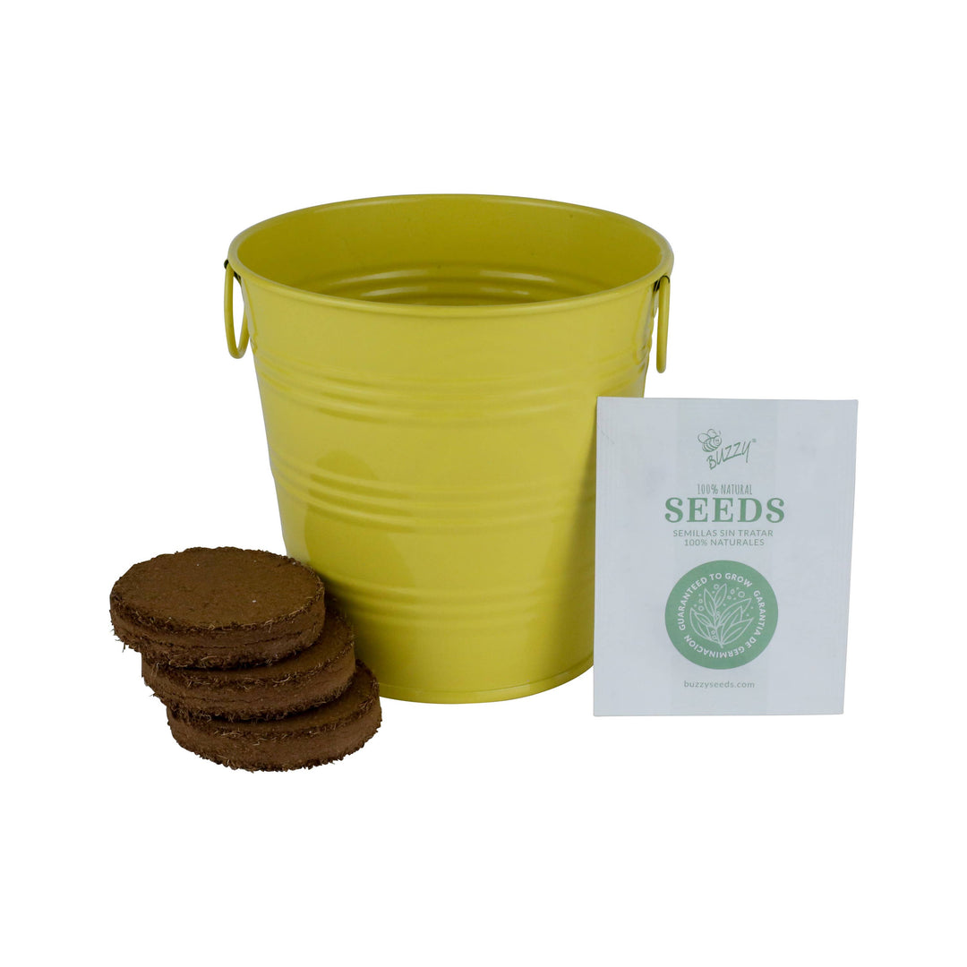 Buzzy Seeds Grow Gifts Kids Flower Grow Pail Sunflower Garden Kit – Indoor Gift