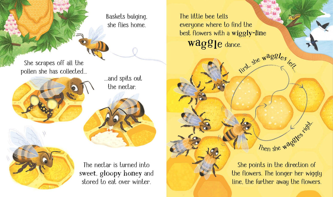 Usborne One Little Bee Board Book
