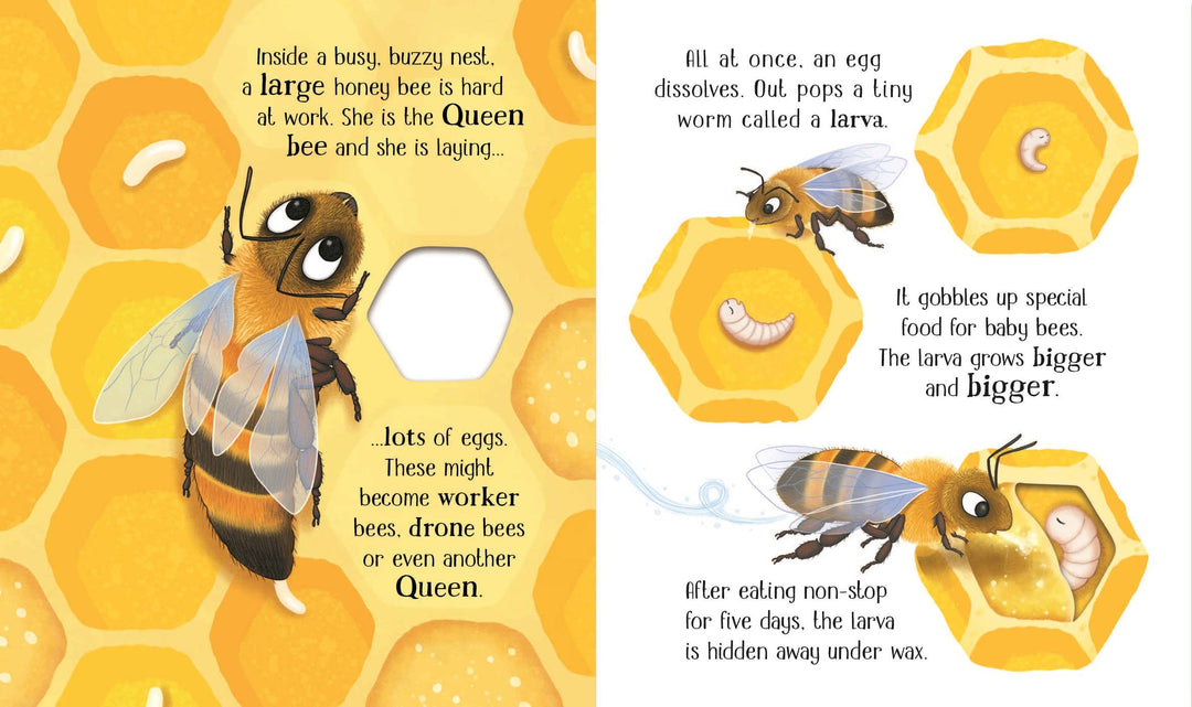 Usborne One Little Bee Board Book