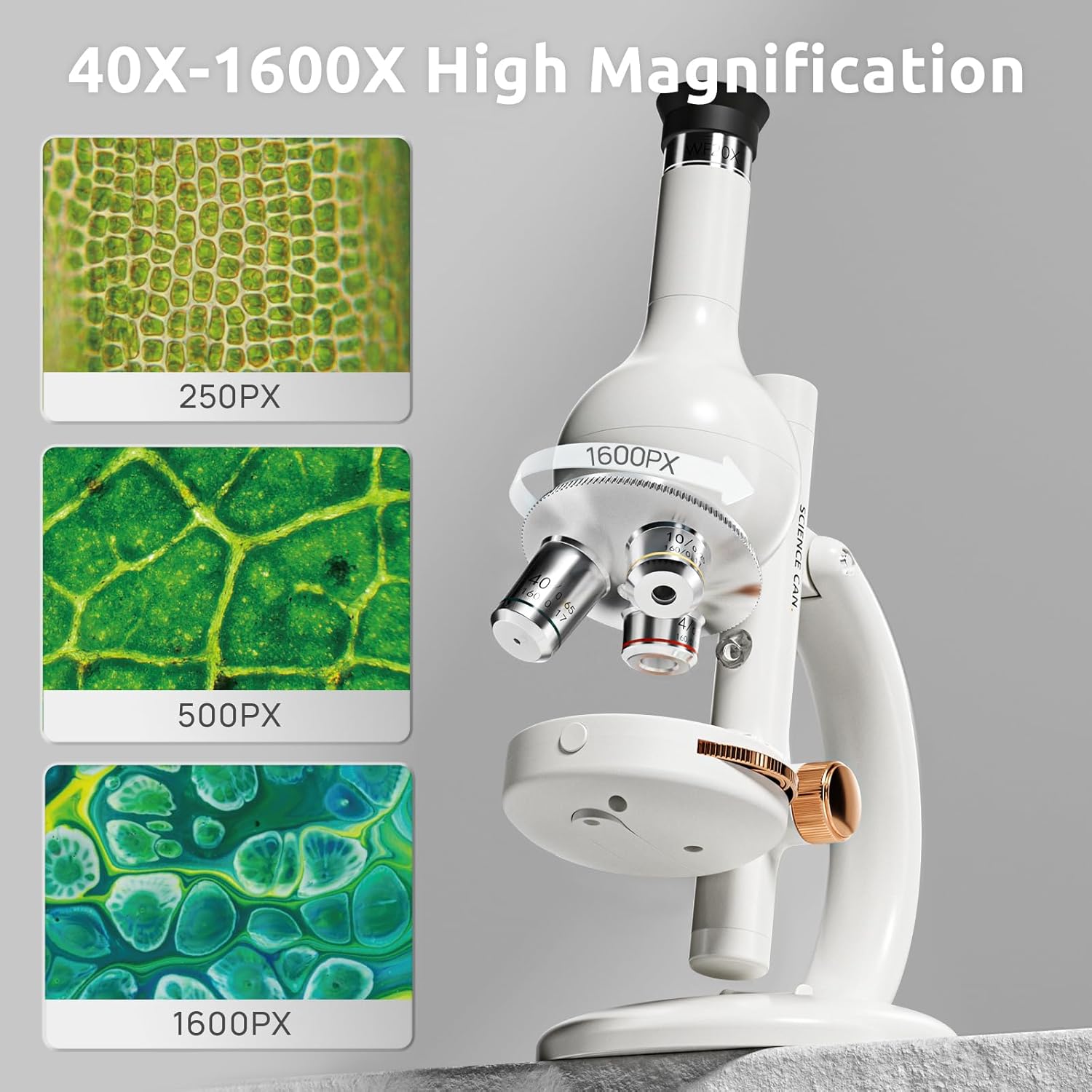 Science Can Microscope Lab Edition – Hopscotch Kids