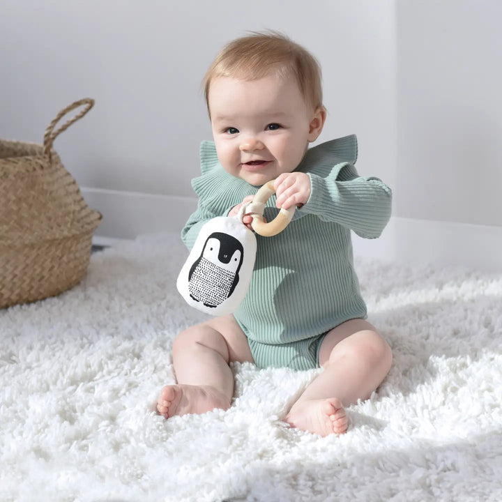 Wee Gallery Little Naturalist Gift Set - Baby Animals