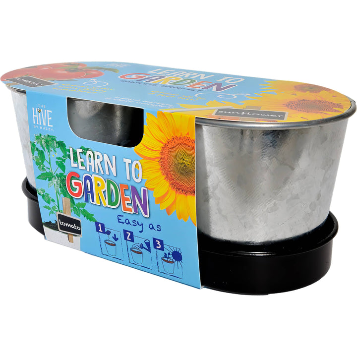 Buzzy Seeds Grow Gifts Learn To Garden Grow Kit – Indoor Plant Starter Set
