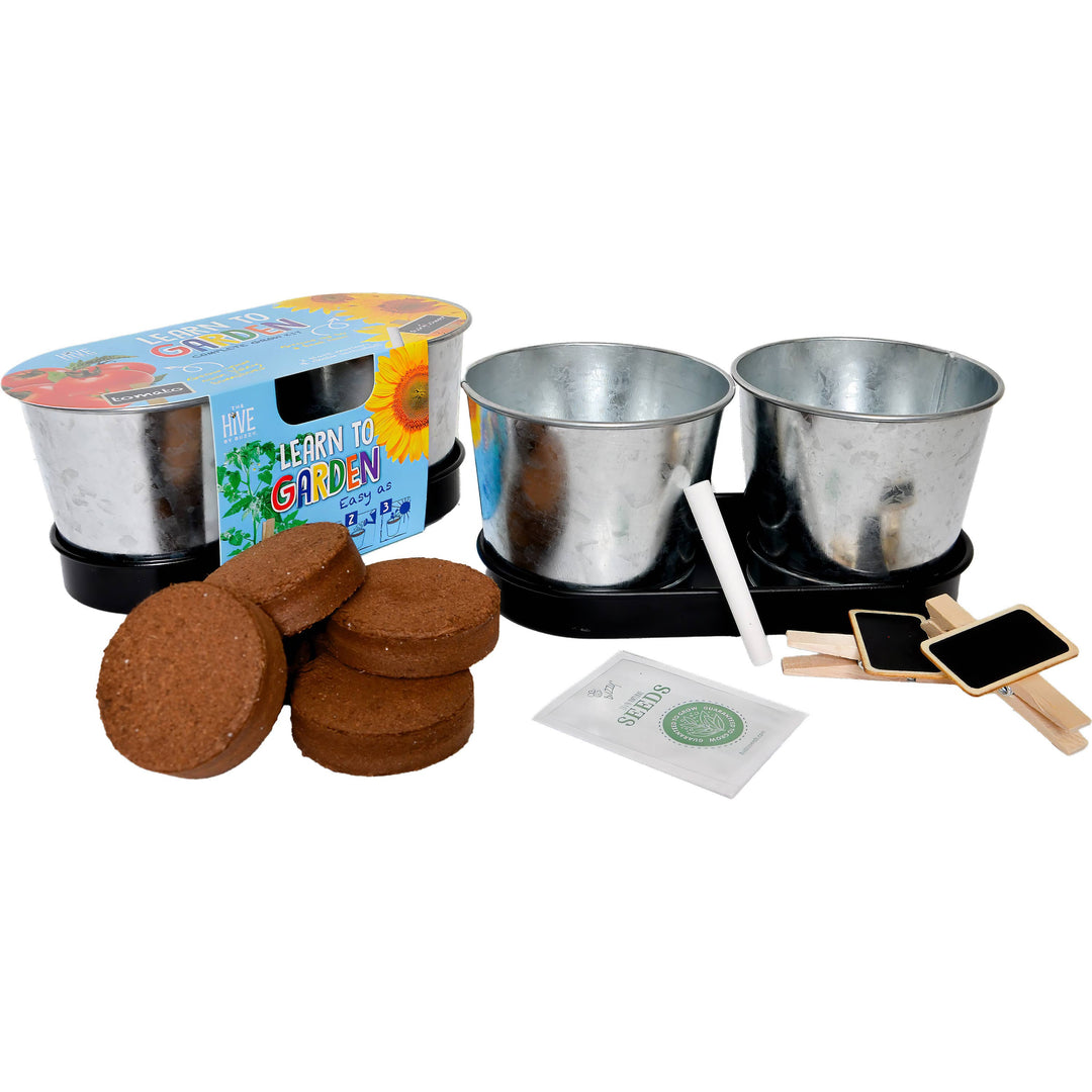 Buzzy Seeds Grow Gifts Learn To Garden Grow Kit – Indoor Plant Starter Set