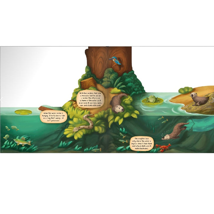 Discovering the World Of Nature Along The Riverbank Board Book