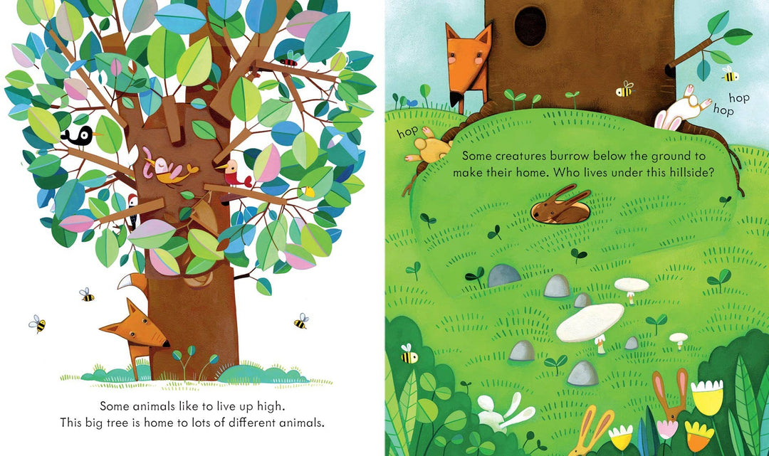 Usborne Peek Inside Animal Homes
