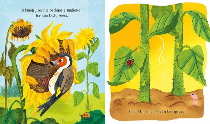Usborne One Little Seed