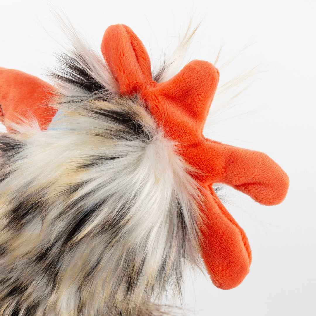Sigikid Tour de Poule