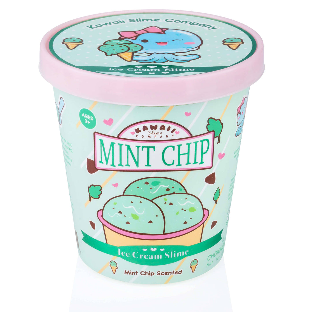 Kawaii Slime Mint Chip Scented Ice Cream Pint Slime