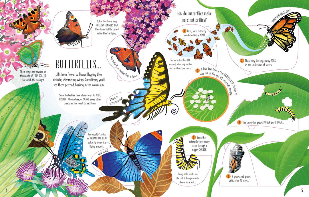 Usborne See Inside Bugs and Butterflies