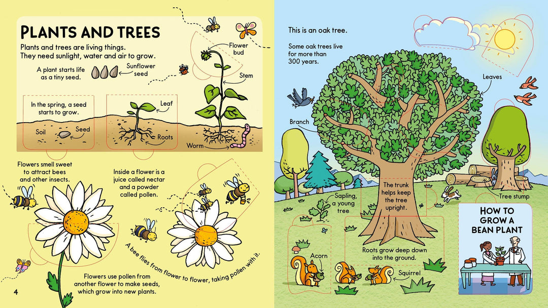 Look Inside Science: Usborne