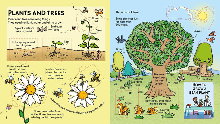 Look Inside Science: Usborne