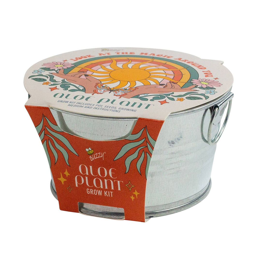 Buzzy Seeds Grow Gifts Mini Galvanized Basin Aloe Grow Kit – Indoor Plant Gift