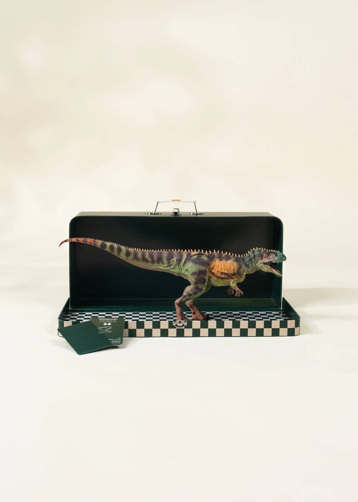 Coco Village Tyrannosaurus Rex Dinosaur In A Collectible Box