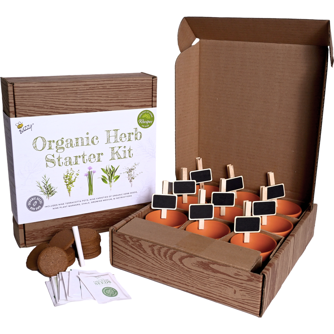 Buzzy Seeds Grow Gifts Organic Herb Starter Kit - Garden Workshop Kit | 9 Herbs