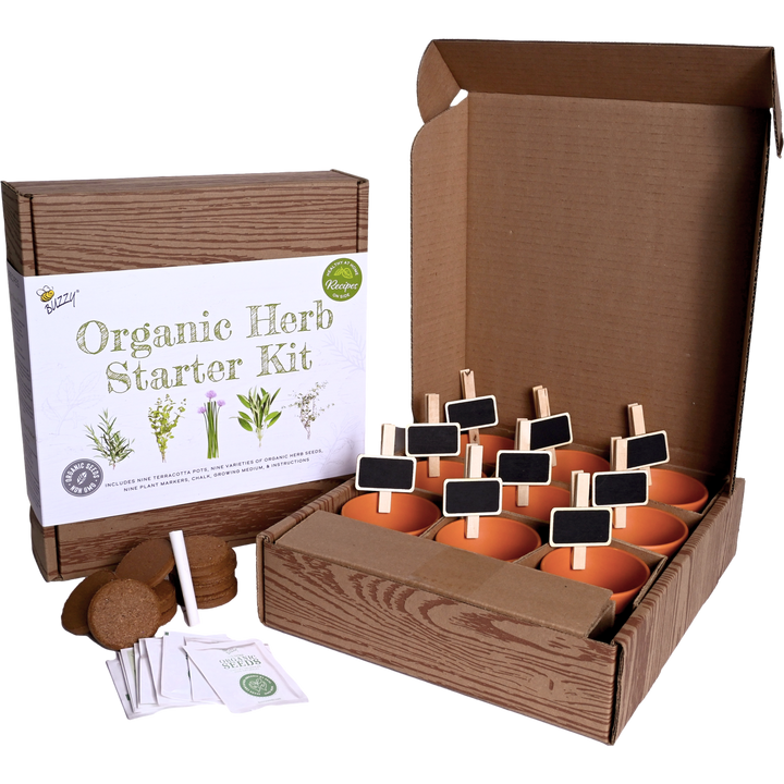 Buzzy Seeds Grow Gifts Organic Herb Starter Kit - Garden Workshop Kit | 9 Herbs