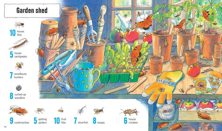 Usborne 1001 Bugs To Spot