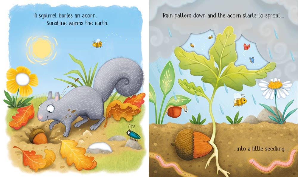 Usborne One Little Tree