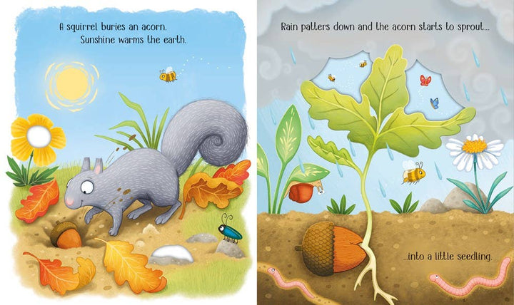Usborne One Little Tree