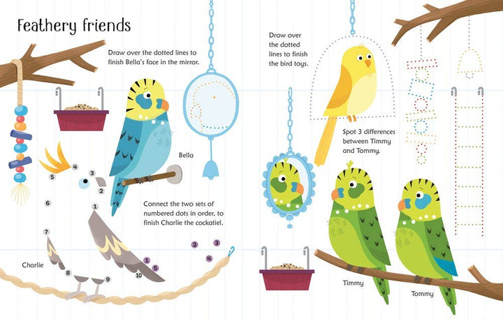 Usborne Wipe-Clean Pet Activities