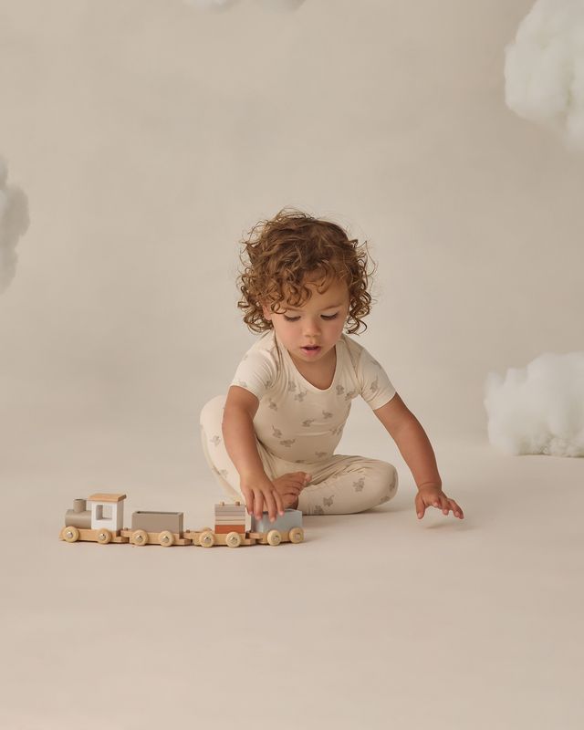 Quincy Mae Bamboo Short Sleeve Pajama Set - Elephants