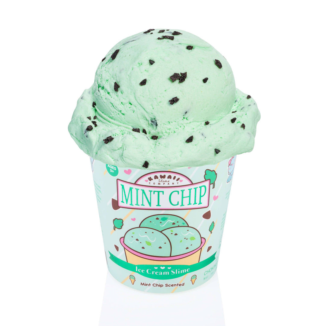 Kawaii Slime Mint Chip Scented Ice Cream Pint Slime