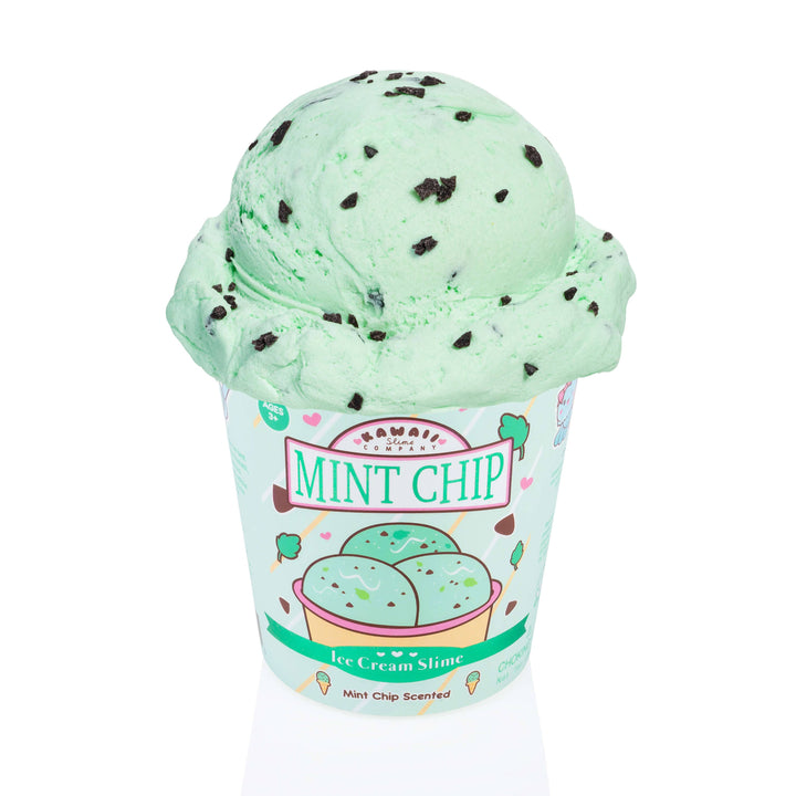 Kawaii Slime Mint Chip Scented Ice Cream Pint Slime