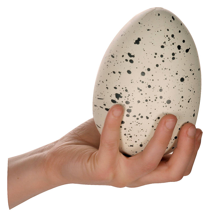 Toysmith Ginormous Hatchin' Grow Dino Egg