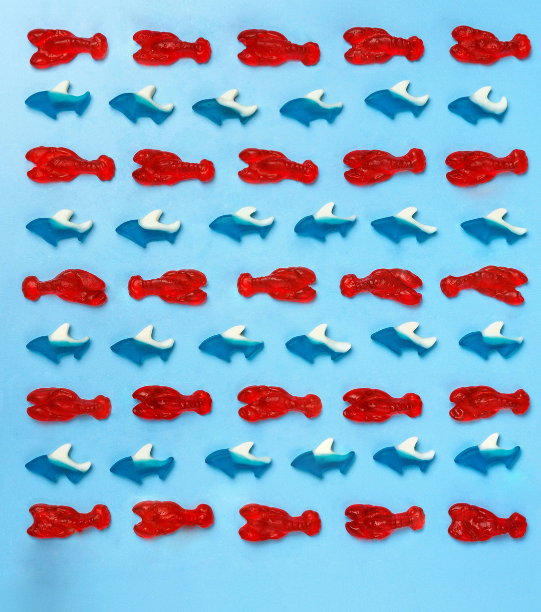 Candy Club Sea Sharks