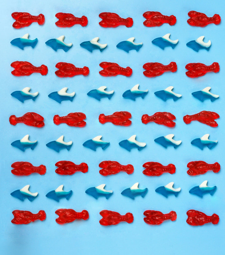 Candy Club Sea Sharks