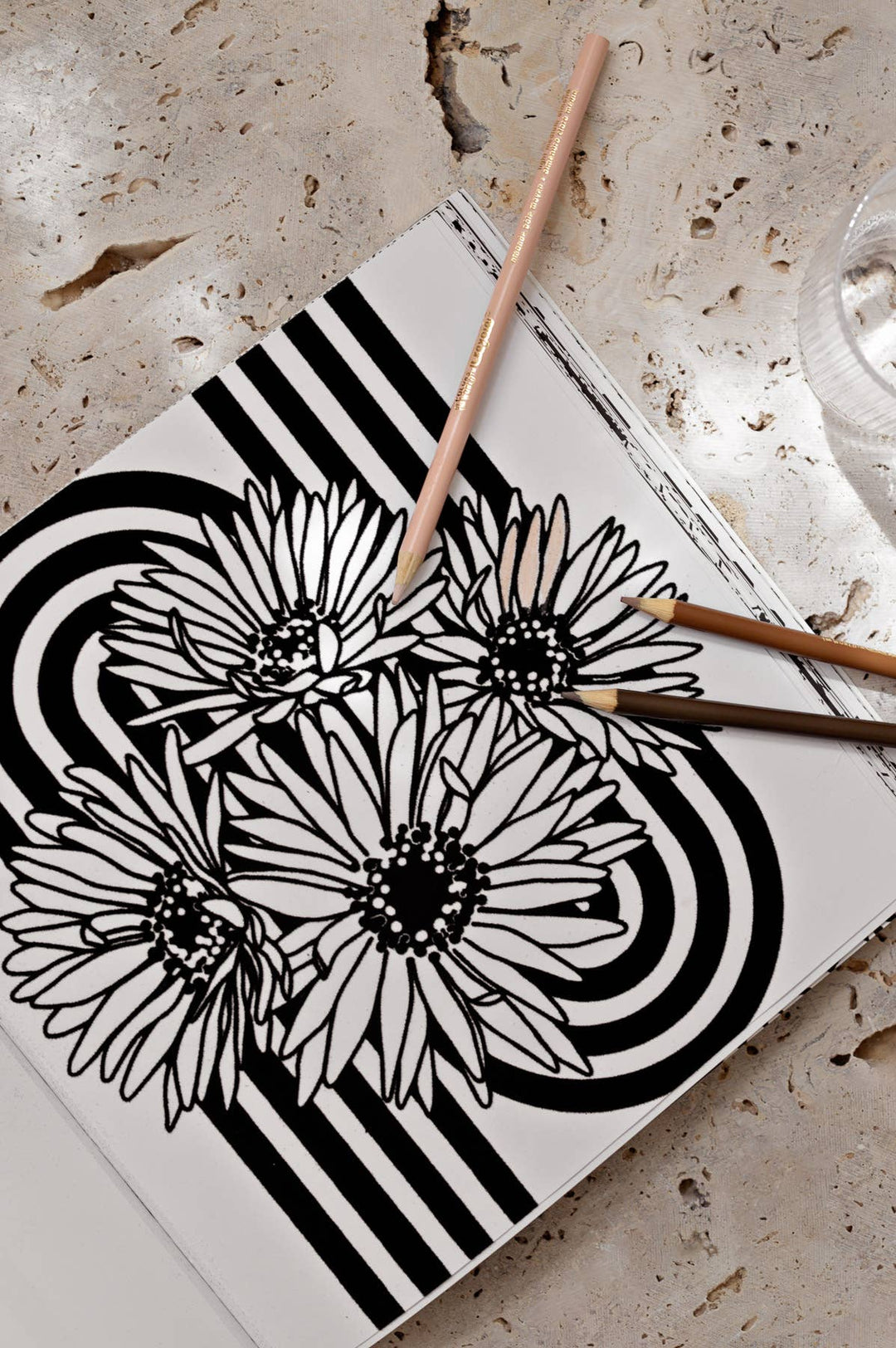 Heyday: A Retro Flower Design Coloring Book