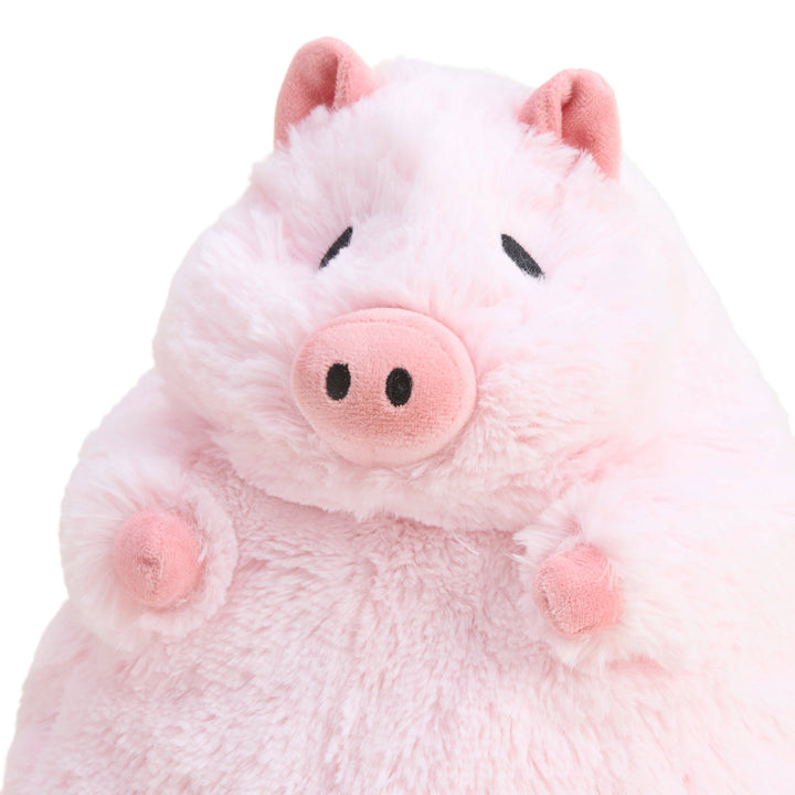Warmies Prosperity Pig