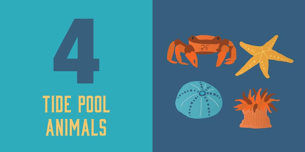 Count on Oregon: Baby’s First Book About the Beaver State