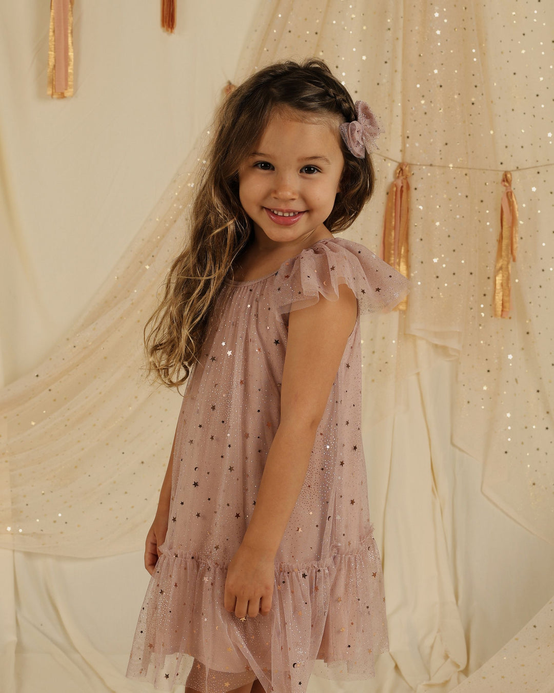 Noralee Eddie Dress - Rose Stars