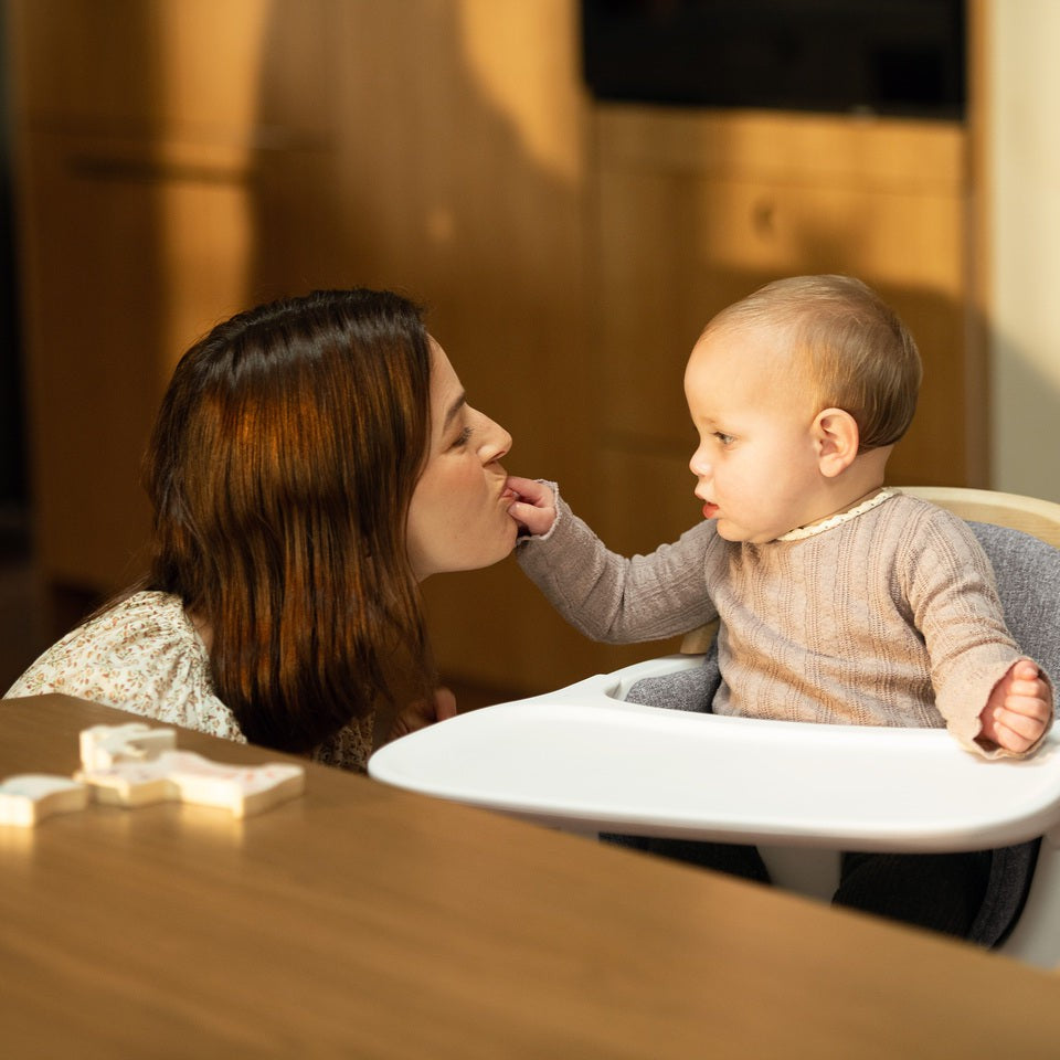 Nuna Bryn High Chair