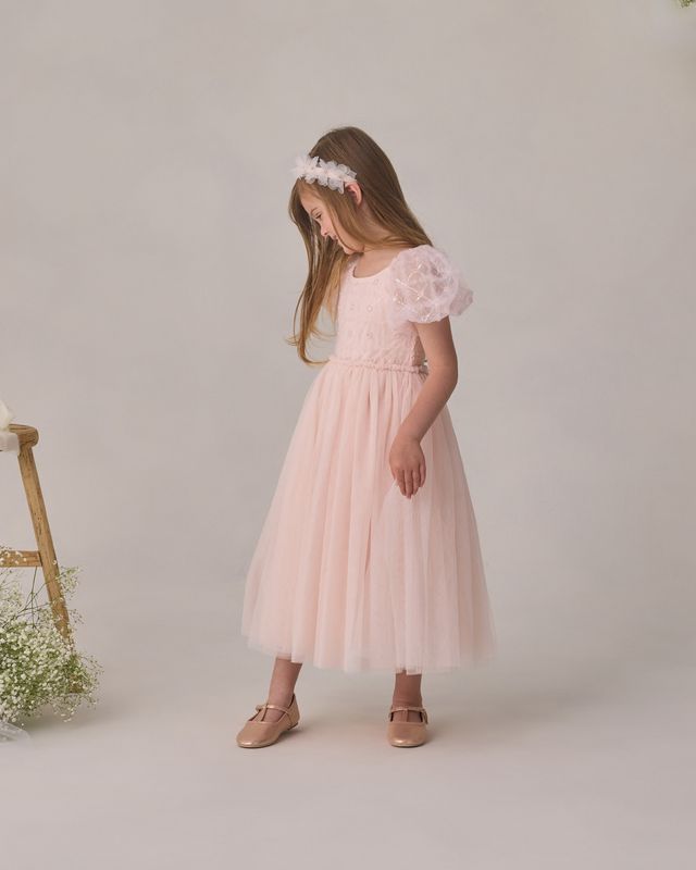 Noralee Dorothy Dress - Blush