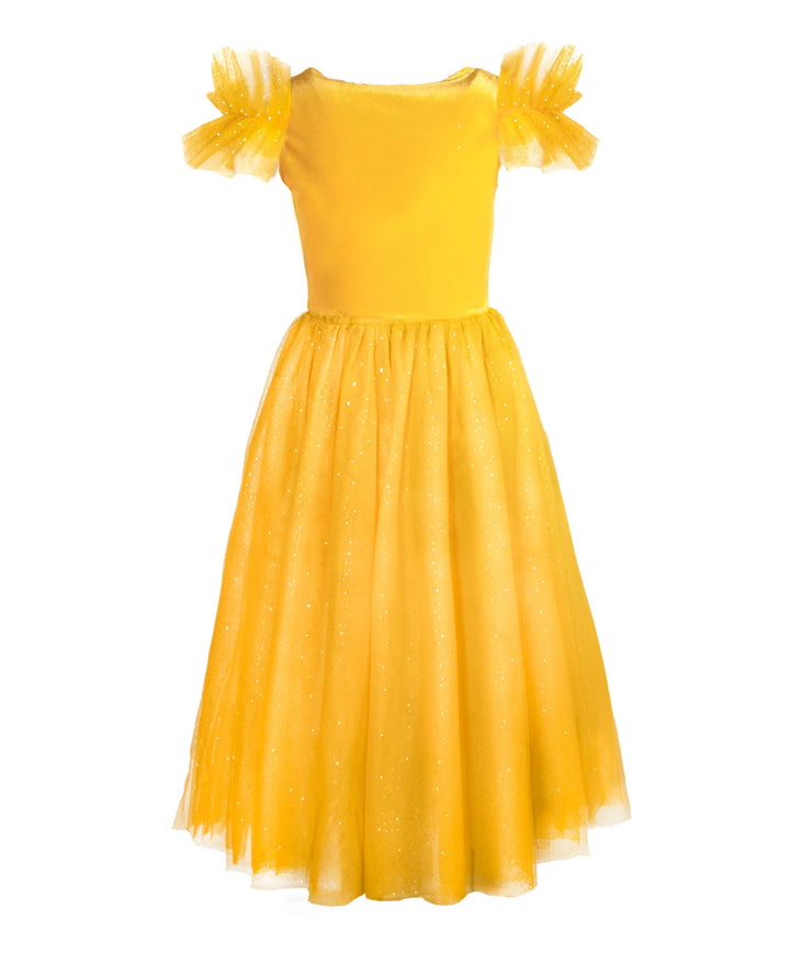Joy Costumes Belle Enchanted Beauty Dress
