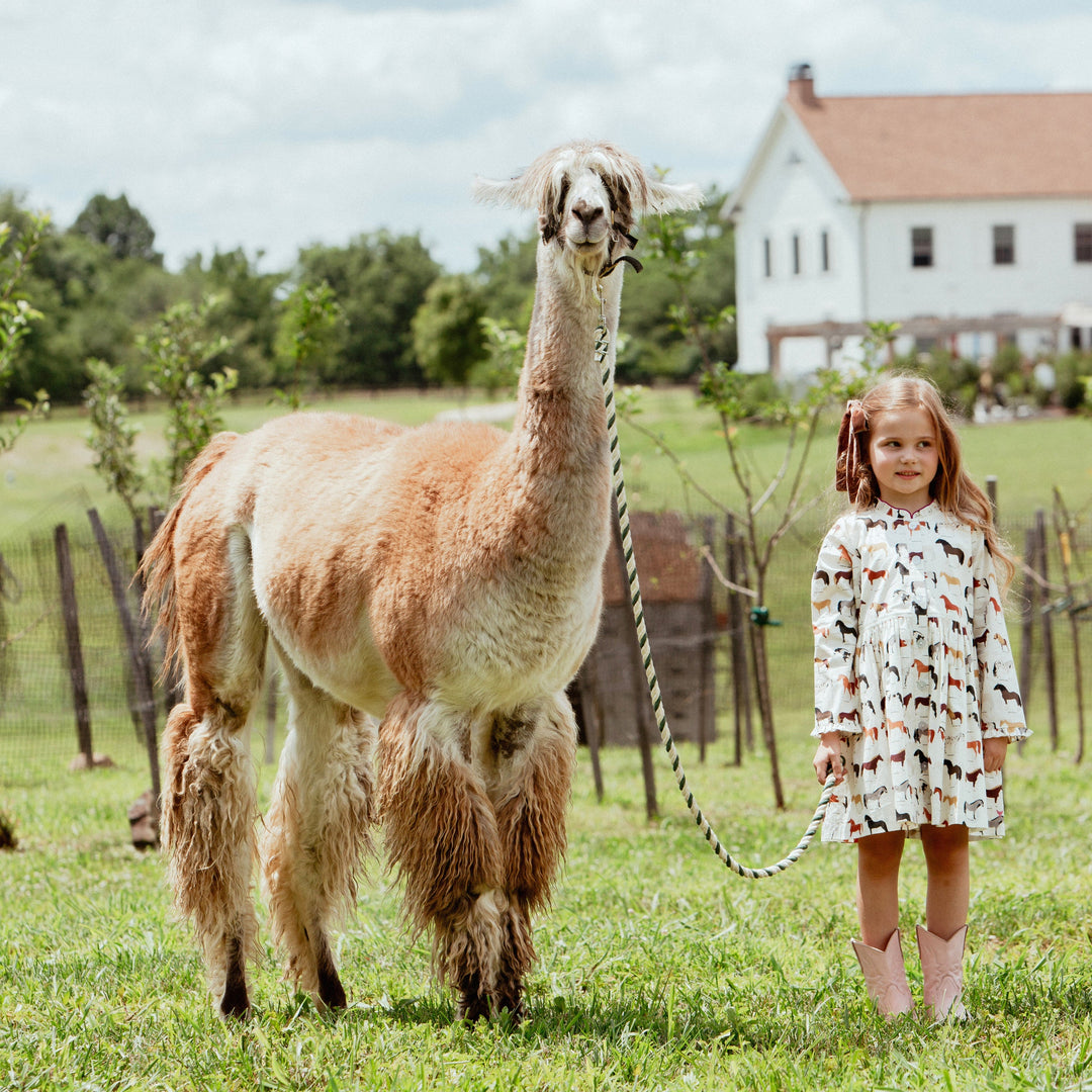 Pink Chicken Autumn Dress - Horse Breeds