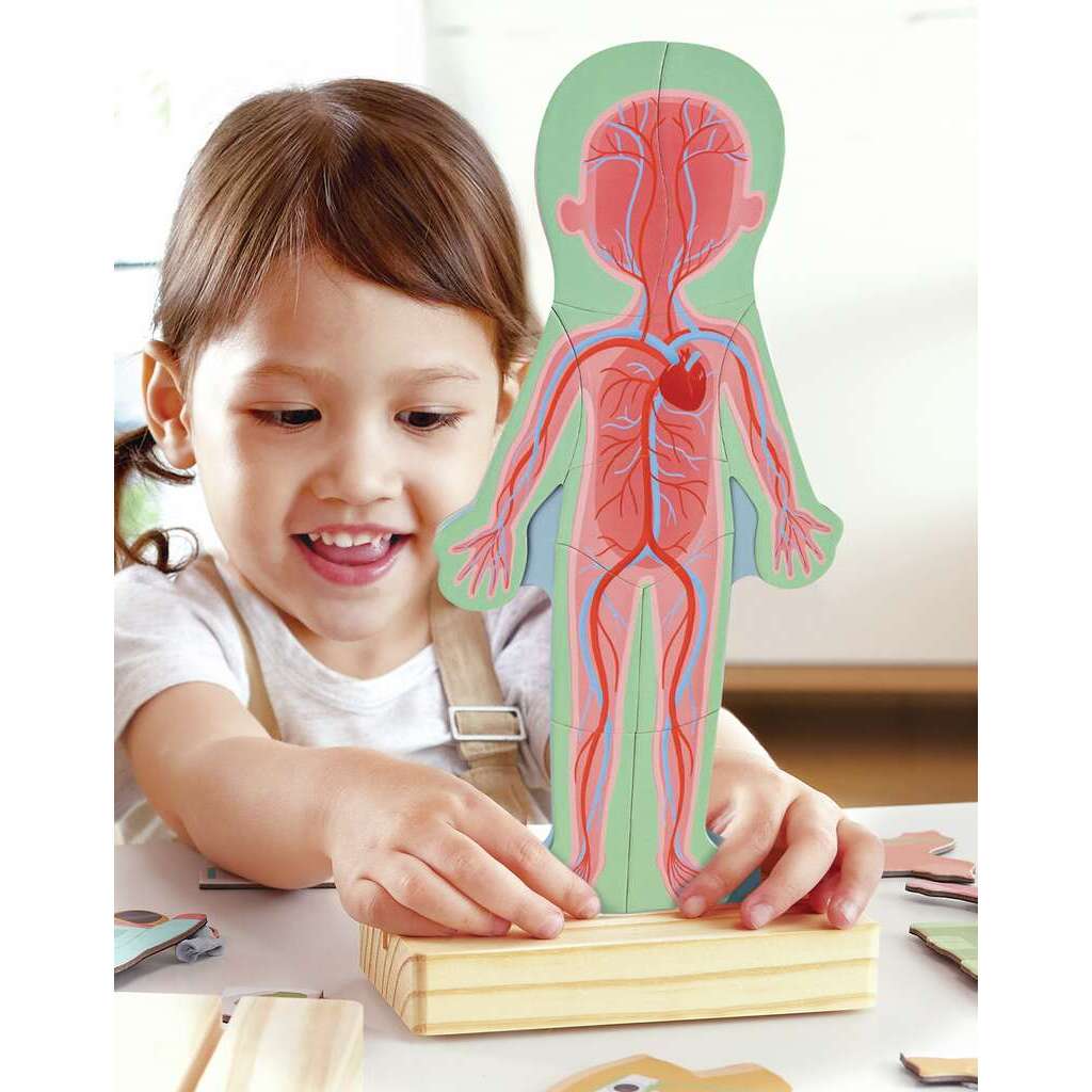 Hape Human Body Magnetic Puzzle
