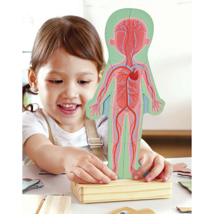 Hape Human Body Magnetic Puzzle