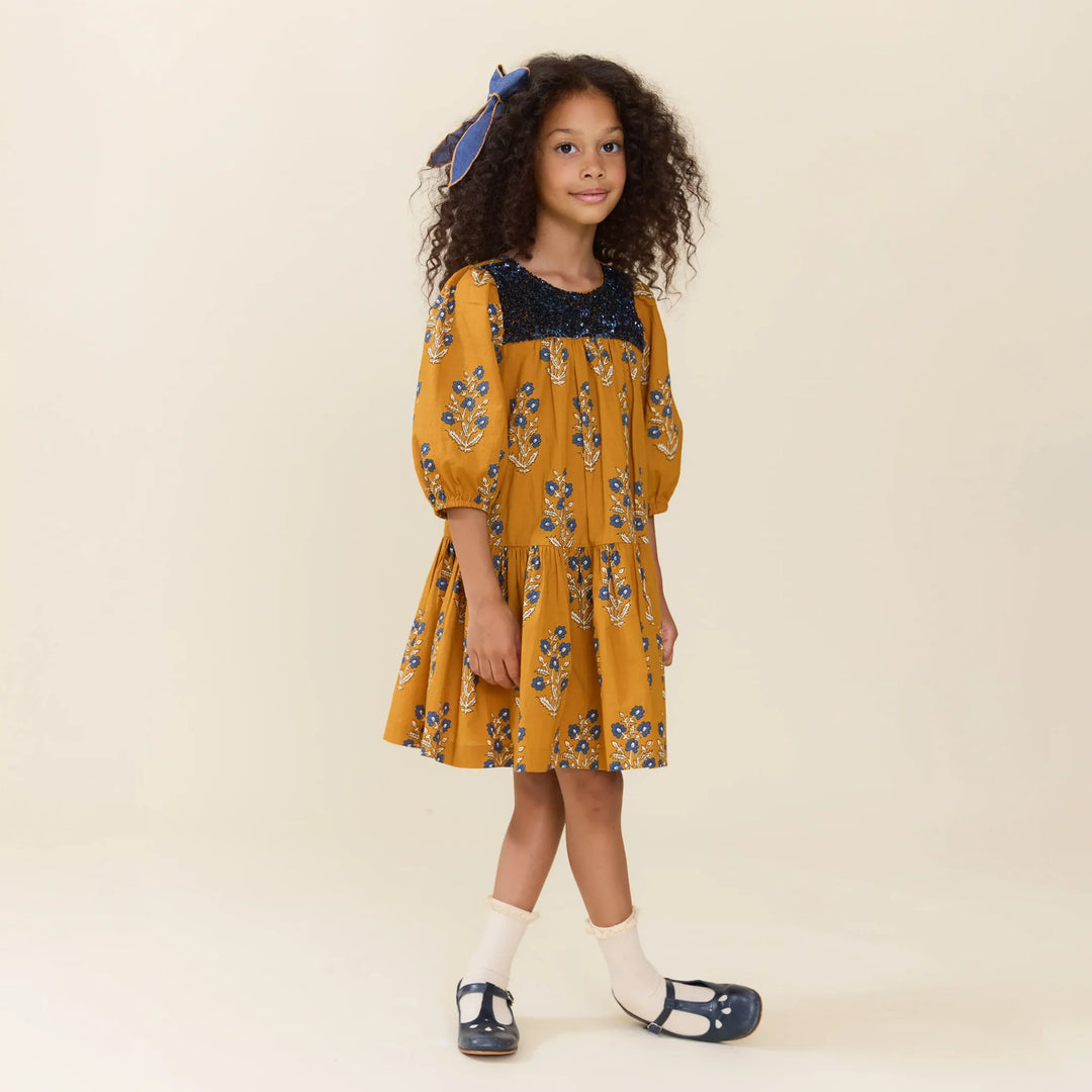 Pink Chicken Fiona Dress - Harvest Dewdrop
