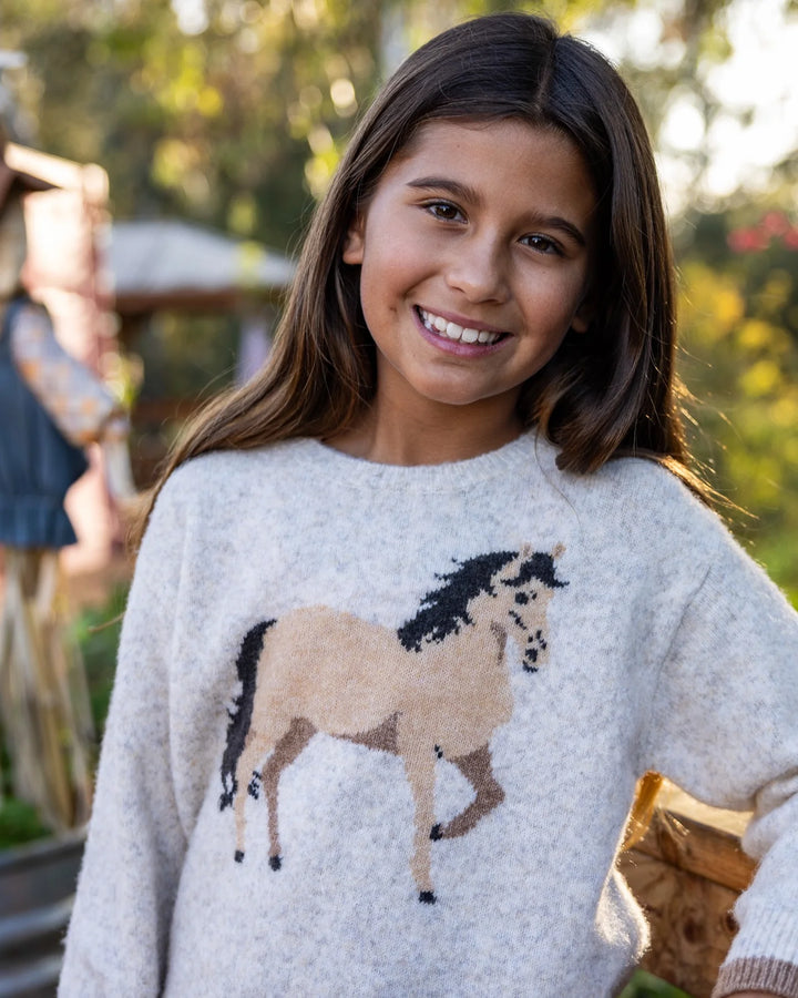Feather 4 Arrow Horse Sweater