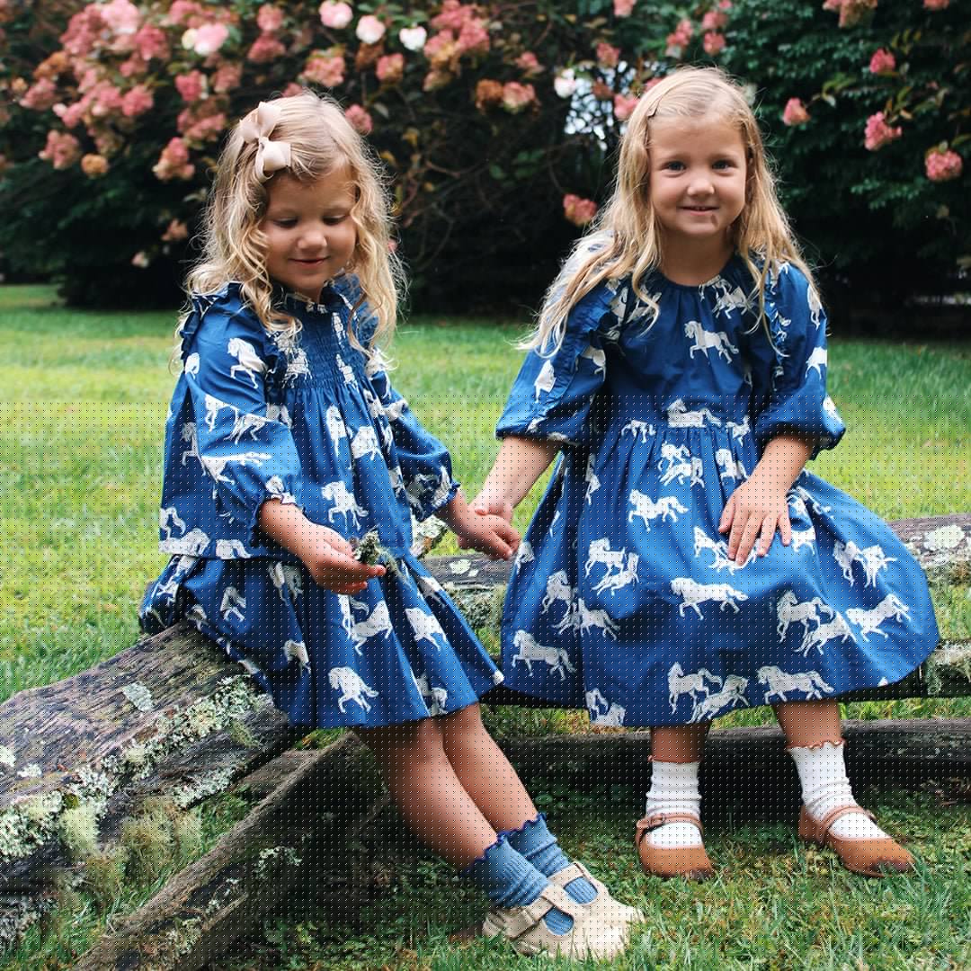 Pink Chicken Katya Dress - Wild Horses