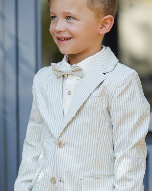 Noralee Sebastian Blazer - Sky Stripe