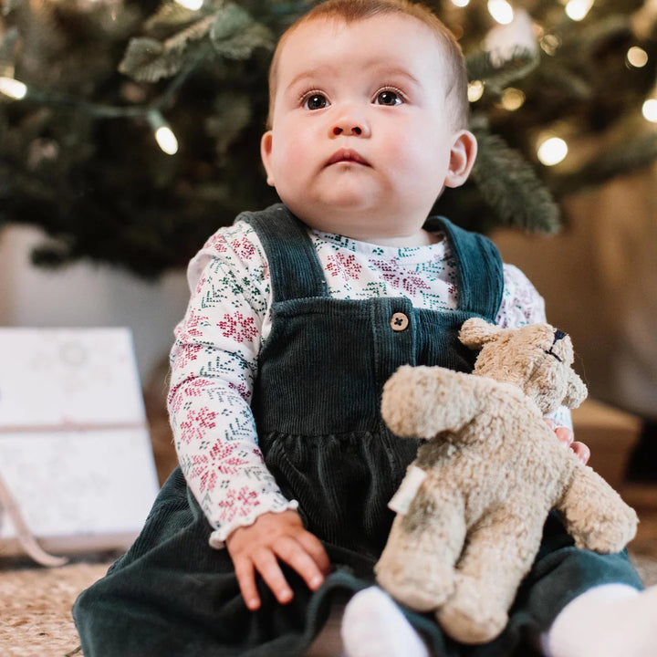 Burt's Bees Poinsettia Fair Isle Organic Girl Tee & Dress Set