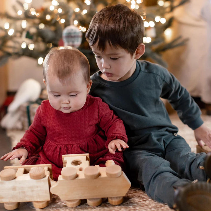 Burt's Bees Dotted Rib Organic Cotton Dress - Brick Red