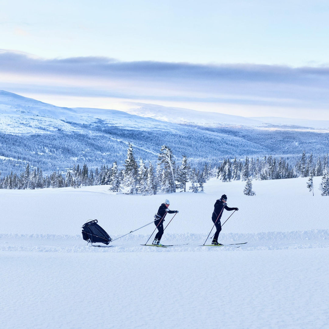 Thule Chariot Ski Kit | Sport / Cross / Lite