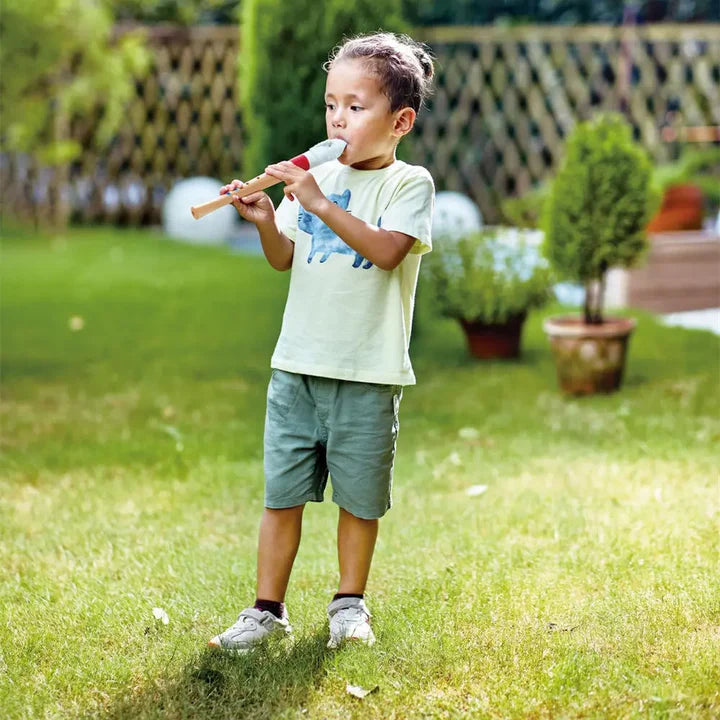 Hape Mini Musicians Starter Recorder