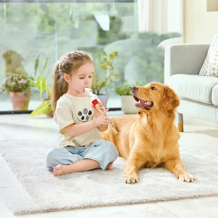 Hape Mini Musicians Starter Recorder