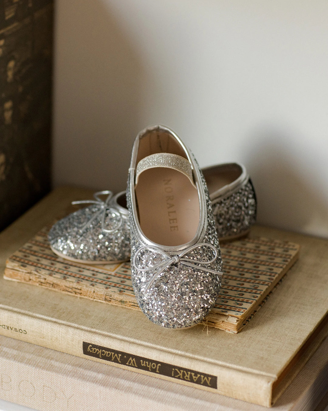 Noralee Ballet Flats - Silver Sparkle