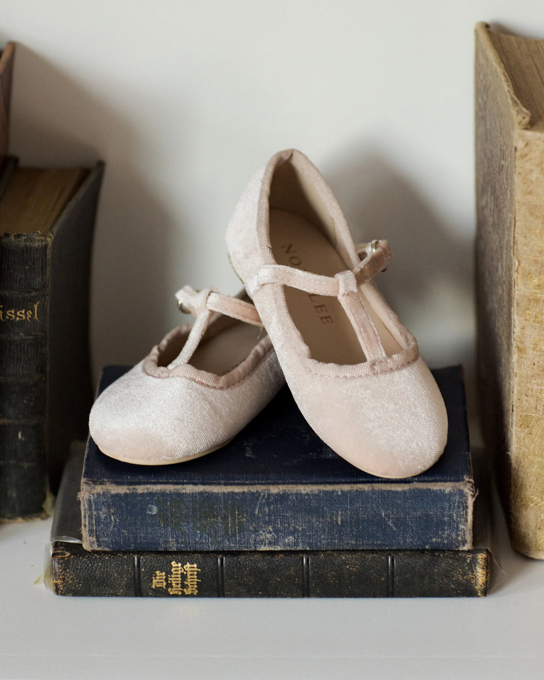 Noralee T-Strap Ballet Flats - Rose